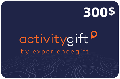 Activitygift - $300