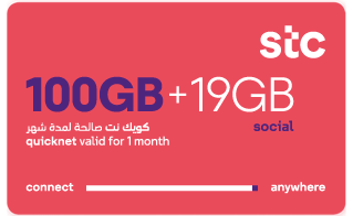 QuickNet 100 GB for 1Month+19GB Social media