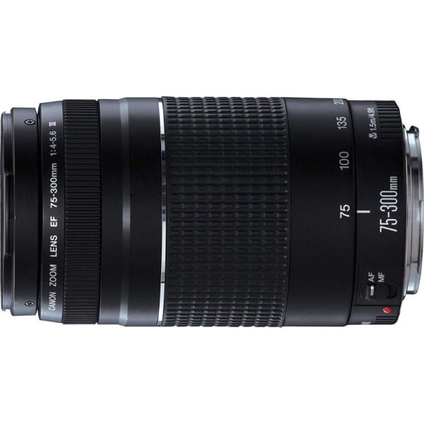Canon EOS 250D SLR Camera - DIGIC 8 processor for great low-light performance EOS 250D BNDL